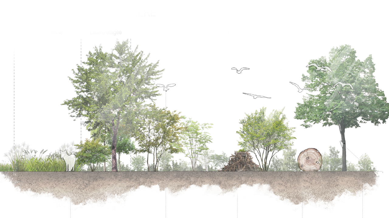 STEP APEC GLAND_Présentation_2021.10.25_ch-1_D.png