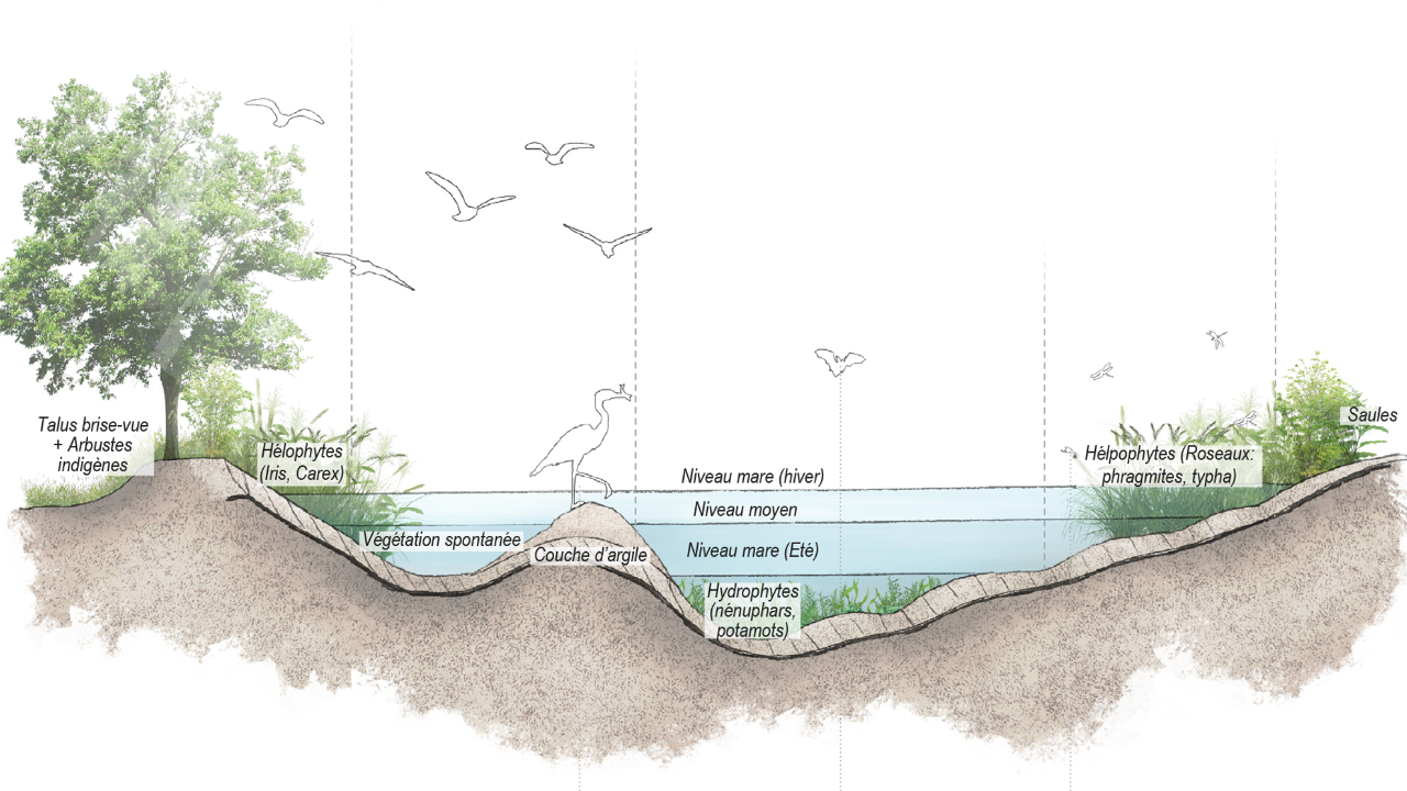 STEP APEC GLAND_Présentation_2021.10.25_ch-E.png